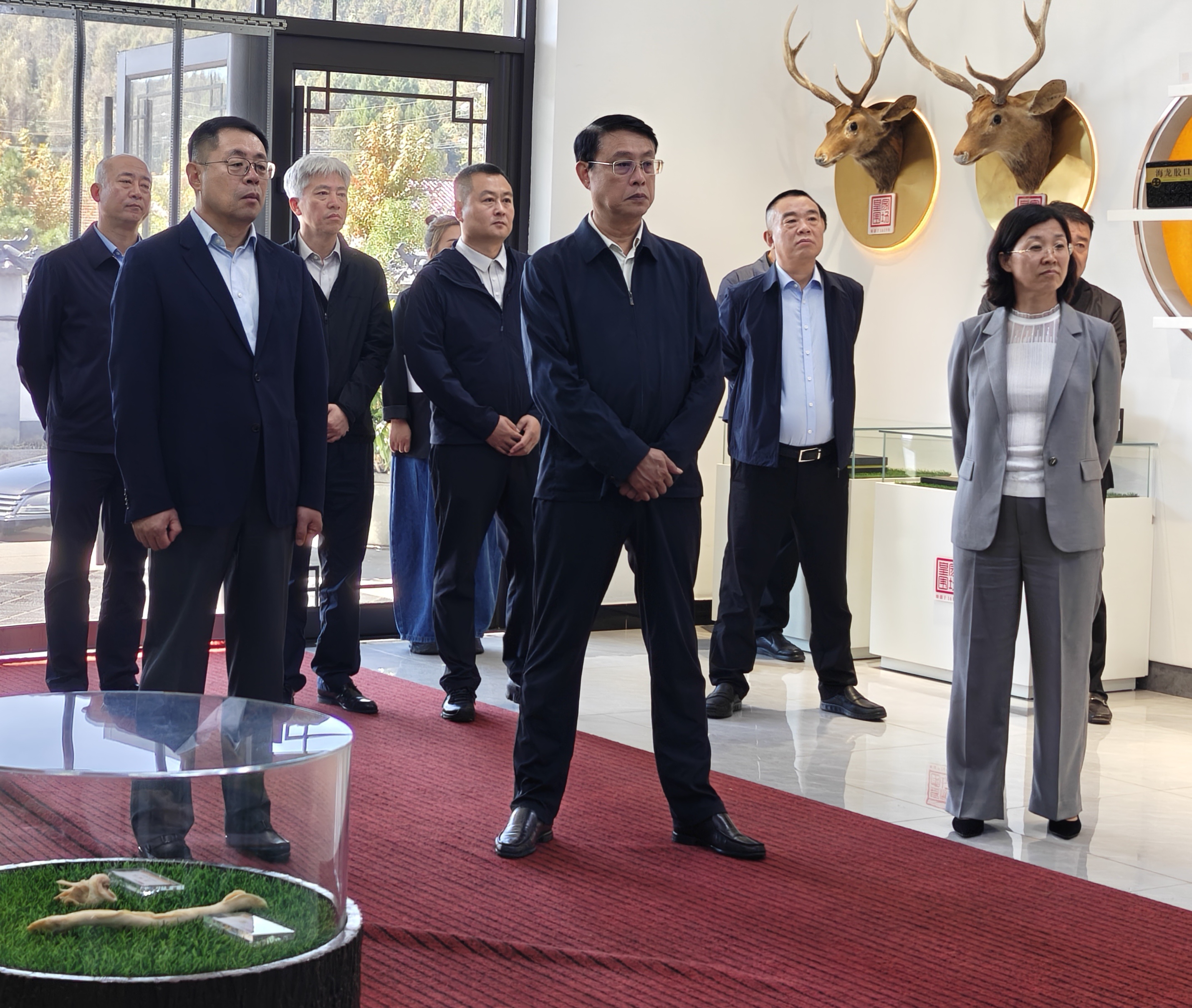 省药监局主要负责同志到铁岭调研督导特色中药材产业规范化建设